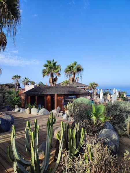 Margherita House Tenerife, Wonderful Ocean View Palm-mar Exterior photo