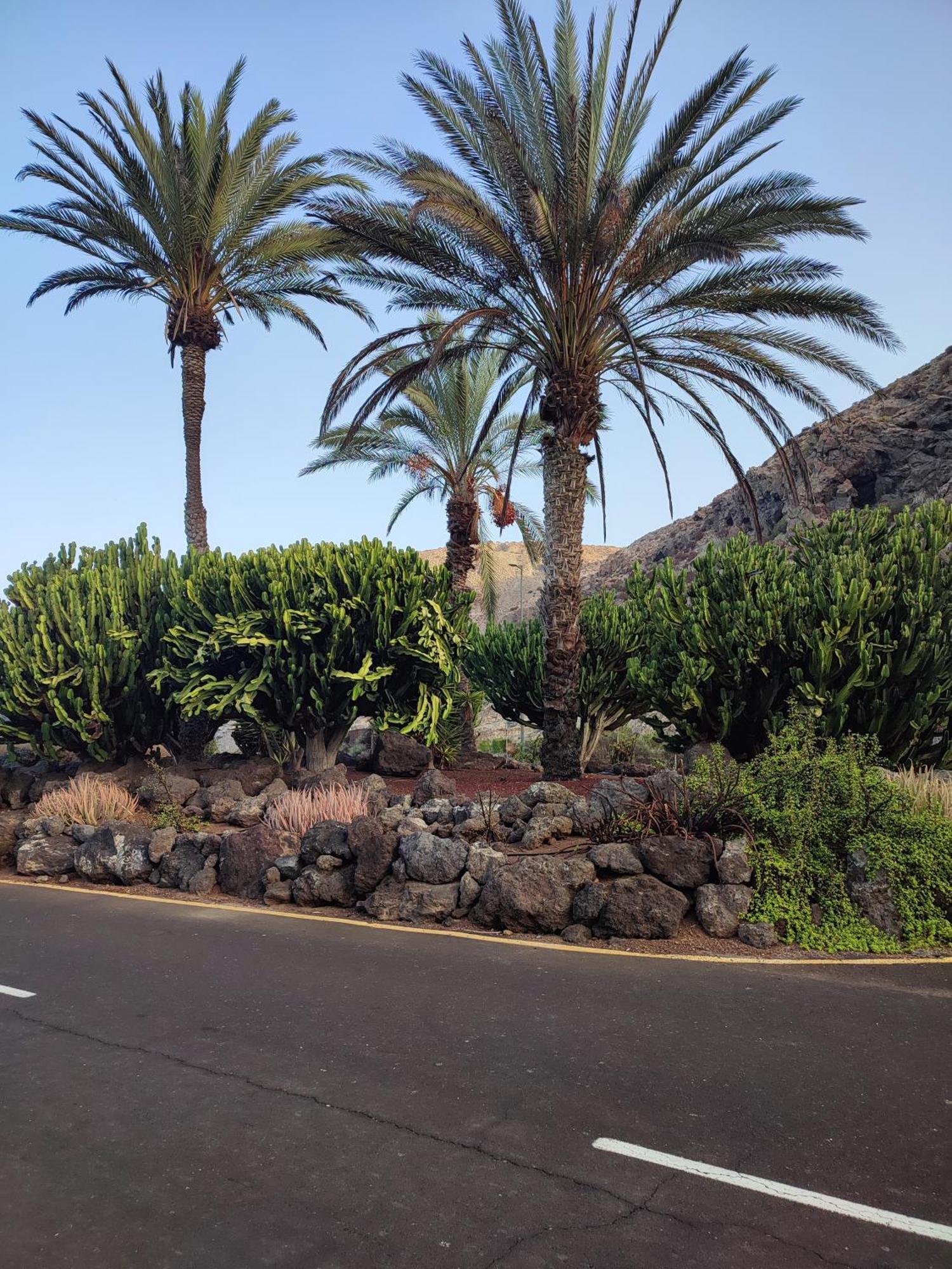Margherita House Tenerife, Wonderful Ocean View Palm-mar Exterior photo