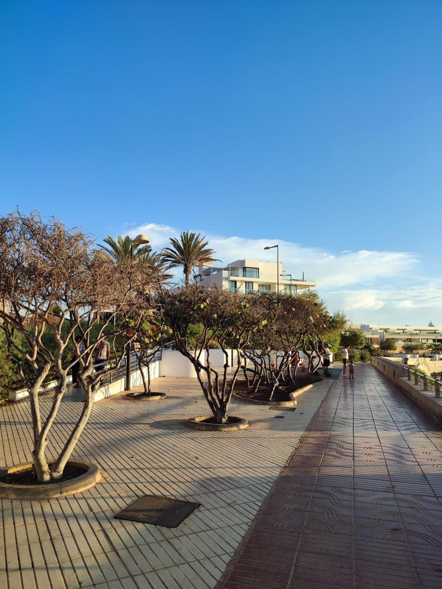 Margherita House Tenerife, Wonderful Ocean View Apartment Palm-mar Exterior photo