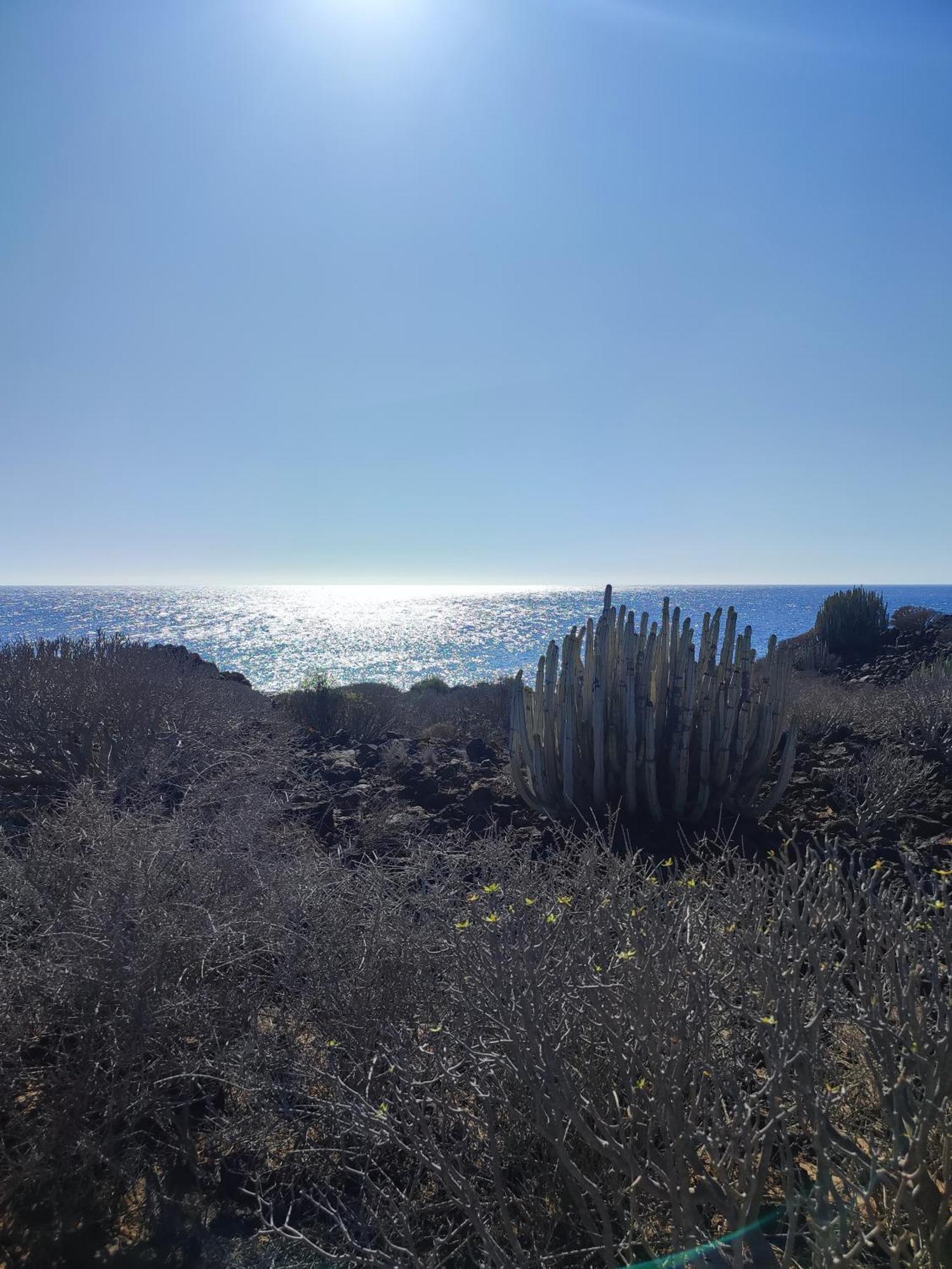 Margherita House Tenerife, Wonderful Ocean View Apartment Palm-mar Exterior photo